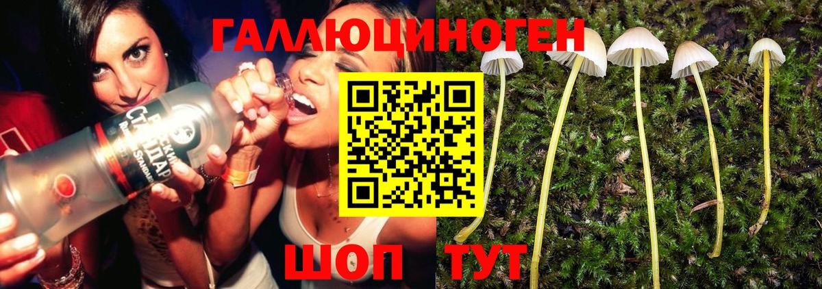 Галлюциногенные грибы Psilocybe  купить наркоту  Янаул  Галлюциногенные грибы Psilocybe  Вход с VPN 